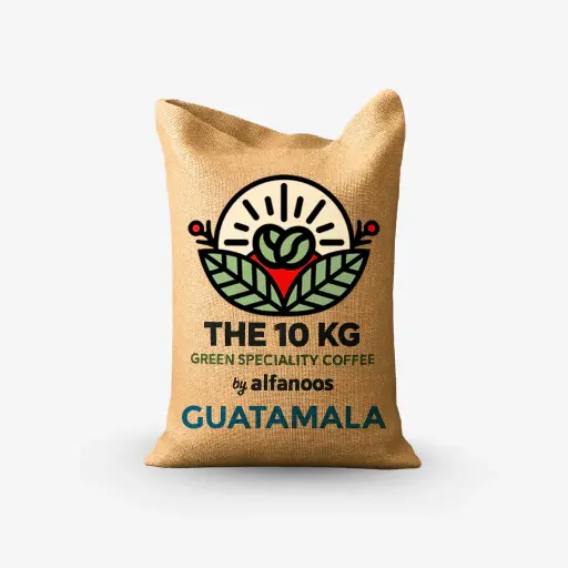 Guatemala Ayarza Natural